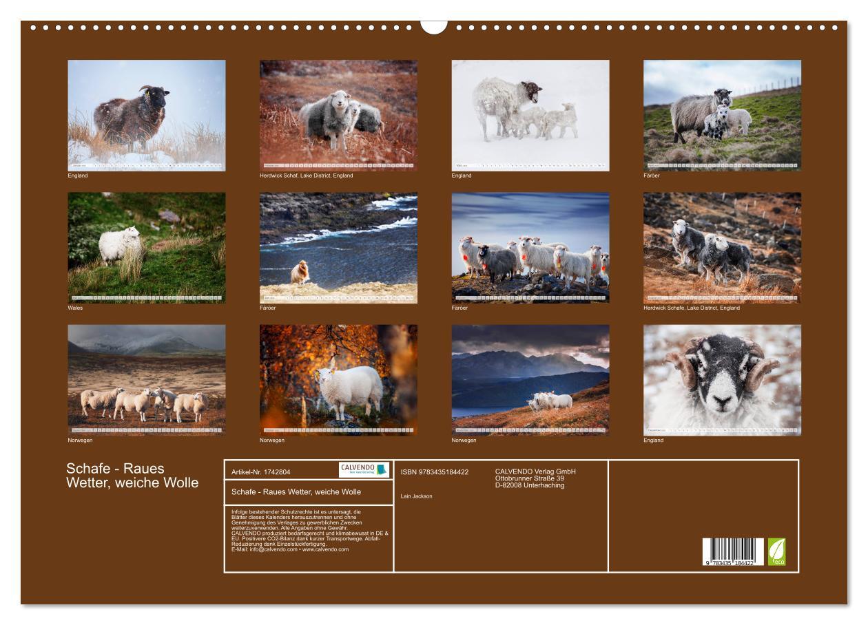 Bild: 9783435184422 | Schafe - Raues Wetter, weiche Wolle (Wandkalender 2025 DIN A2...