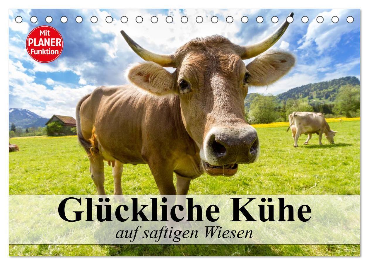 Cover: 9783383312915 | Glückliche Kühe auf saftigen Wiesen (Tischkalender 2024 DIN A5...