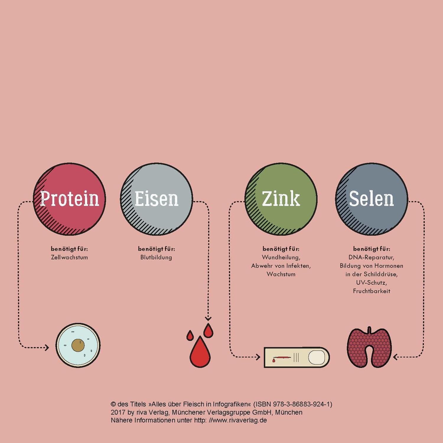 Bild: 9783868839241 | Alles über Fleisch in Infografiken | Daniel Wiechmann | Buch | 96 S.