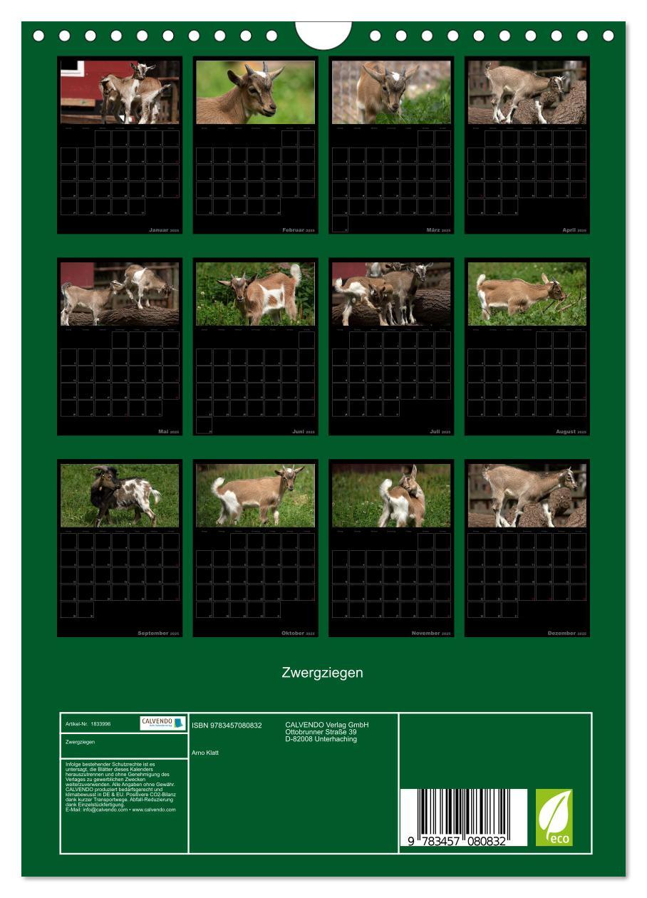 Bild: 9783457080832 | Zwergziegen (Wandkalender 2025 DIN A4 hoch), CALVENDO Monatskalender