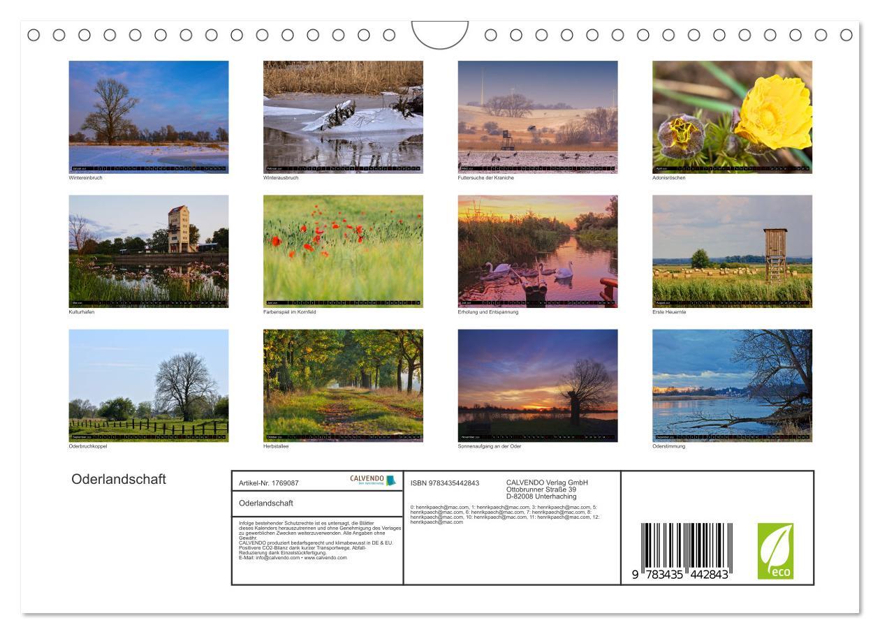 Bild: 9783435442843 | Oderlandschaft (Wandkalender 2025 DIN A4 quer), CALVENDO...