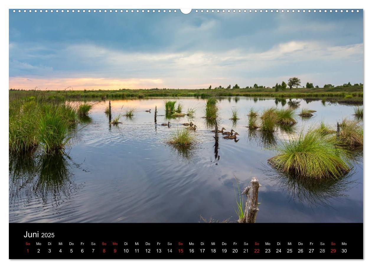 Bild: 9783435557288 | HOHES VENN - Einblicke in ein Hochmoor (Wandkalender 2025 DIN A2...