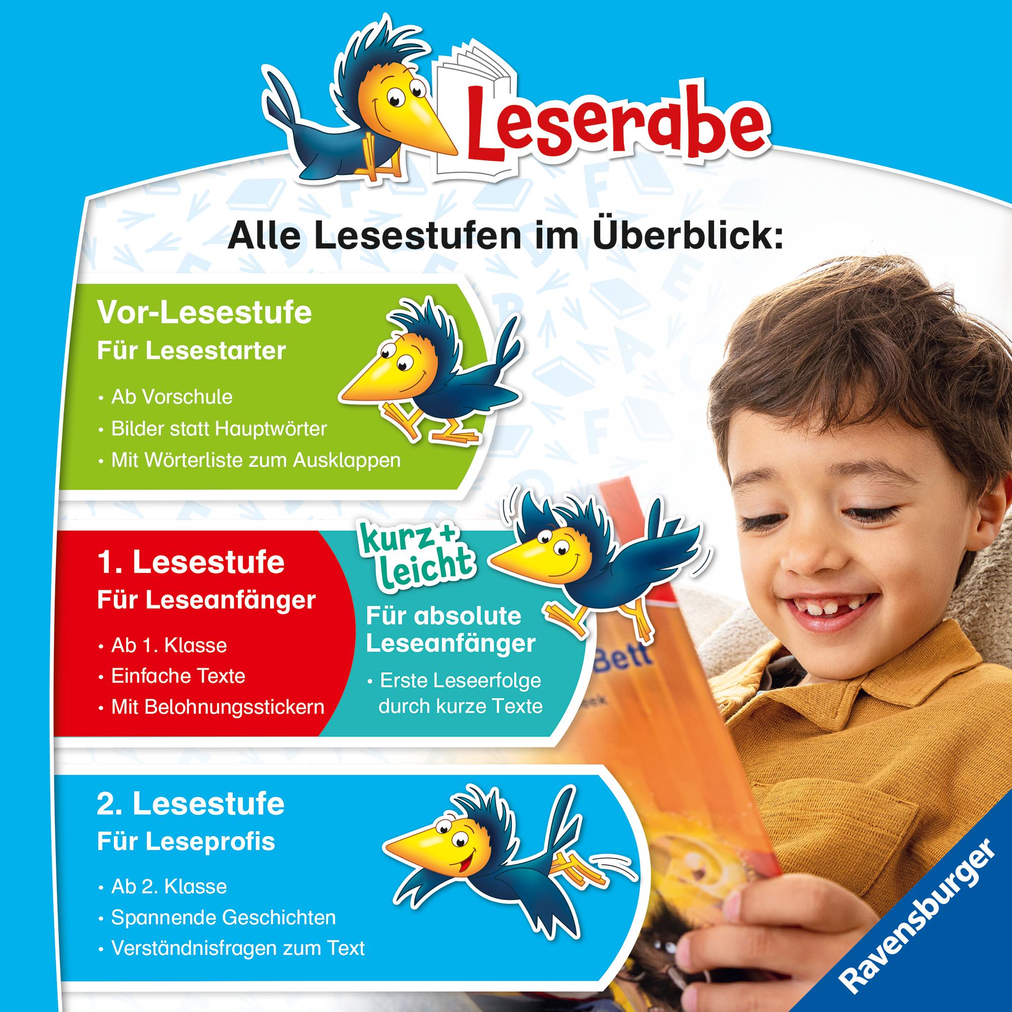 Bild: 9783473463282 | Leserabe 2. Lesestufe - Die Waldfee und der Drache | Sonja Bullen