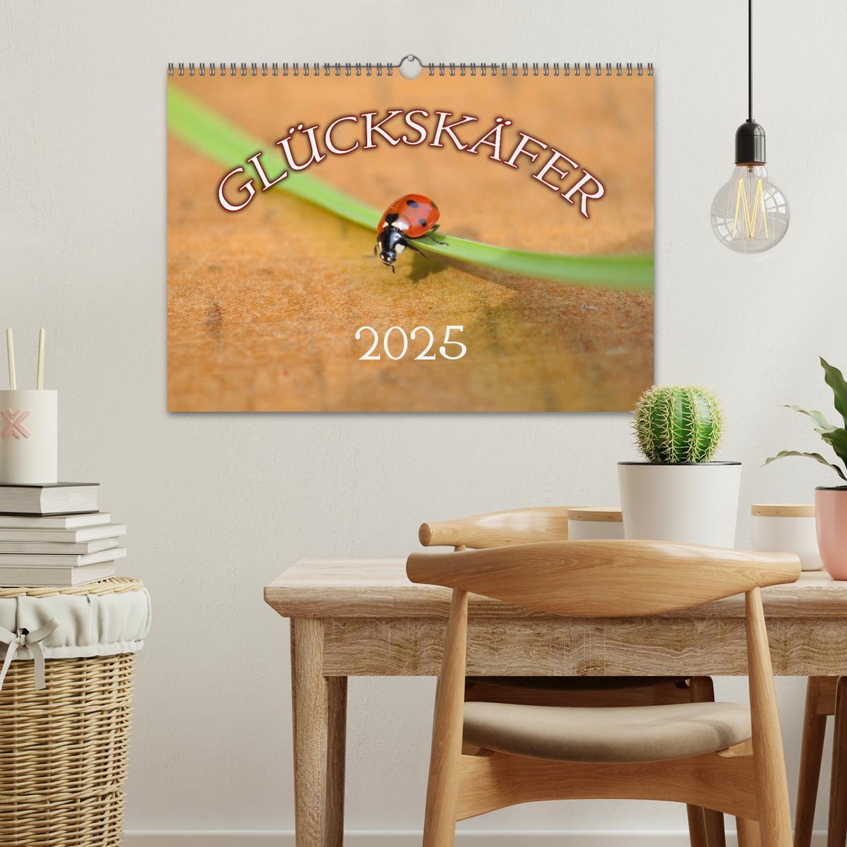 Bild: 9783435787067 | Marienkäfer 2025 (Wandkalender 2025 DIN A3 quer), CALVENDO...