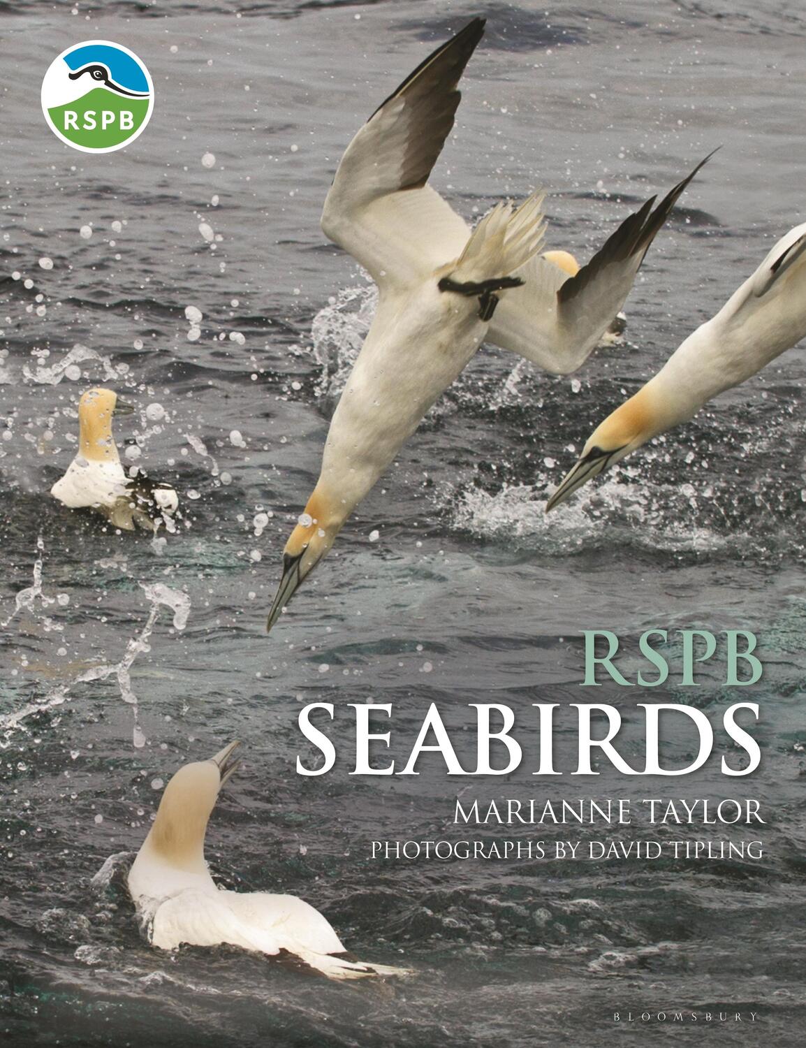 Cover: 9781472964502 | RSPB Seabirds | Marianne Taylor | Buch | Gebunden | Englisch | 2018