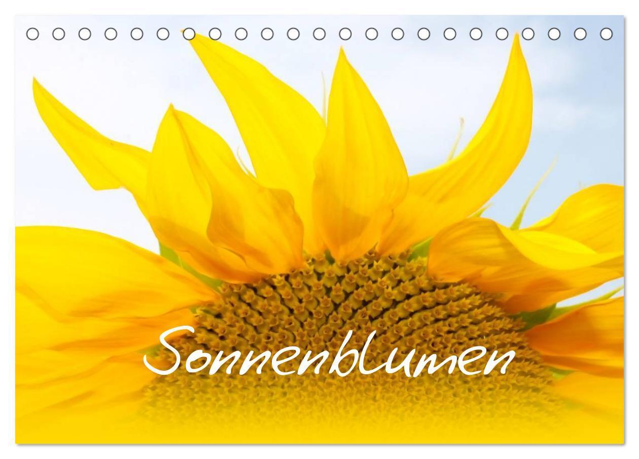 Cover: 9783383592317 | Sonnenblumen - die Blumen der Lebensfreude (Tischkalender 2024 DIN...