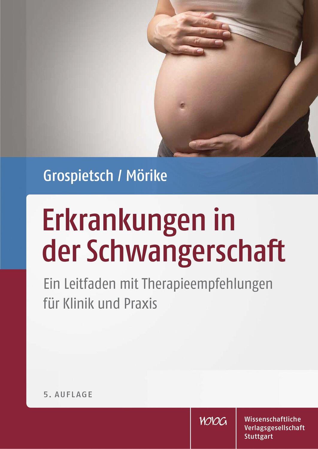 Cover: 9783804725690 | Erkrankungen in der Schwangerschaft | Gerhard Grospietsch (u. a.)