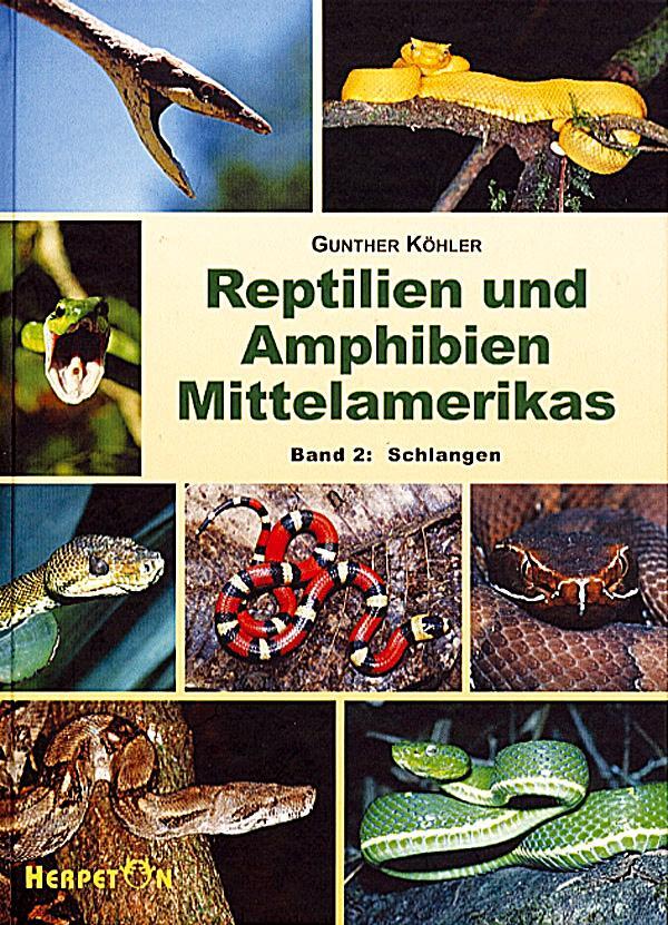 Cover: 9783980621458 | Reptilien und Amphibien Mittelamerikas. (Bd. 2) | Schlangen | Köhler