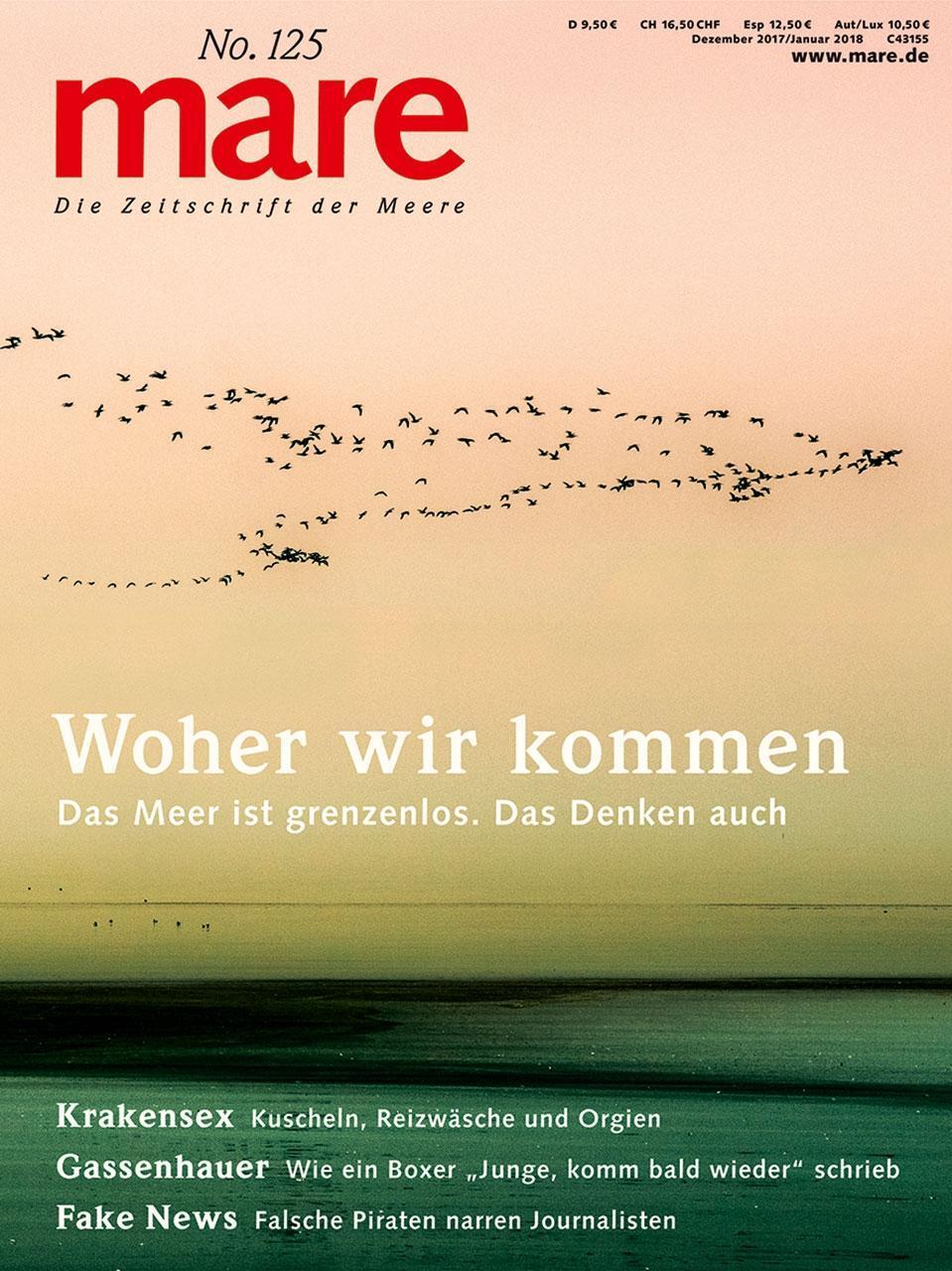 Cover: 9783866484146 | mare 125 - Woher wir kommen | Taschenbuch | 130 S. | Deutsch | 2017
