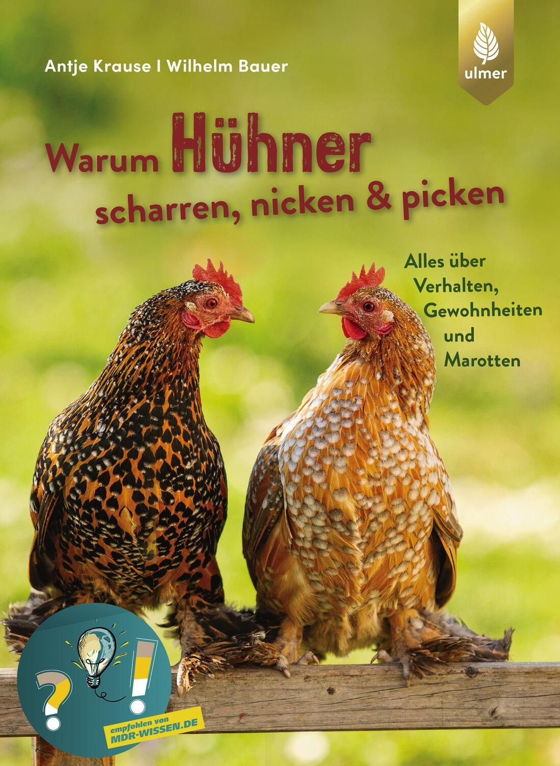 Cover: 9783818611422 | Warum Hühner scharren, nicken und picken | Antje Krause (u. a.) | Buch