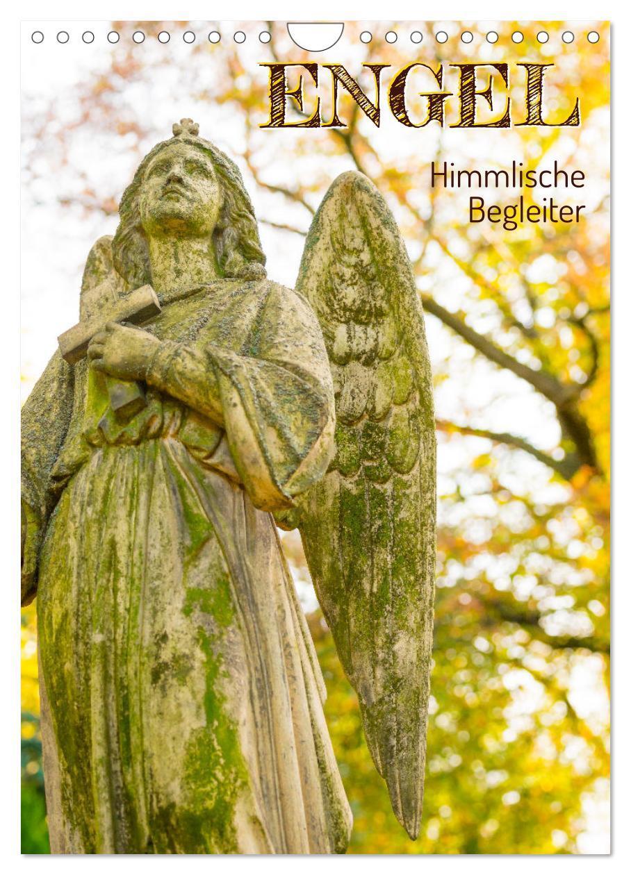 Cover: 9783675591912 | Engel - Himmlische Begleiter (Wandkalender 2024 DIN A4 hoch),...