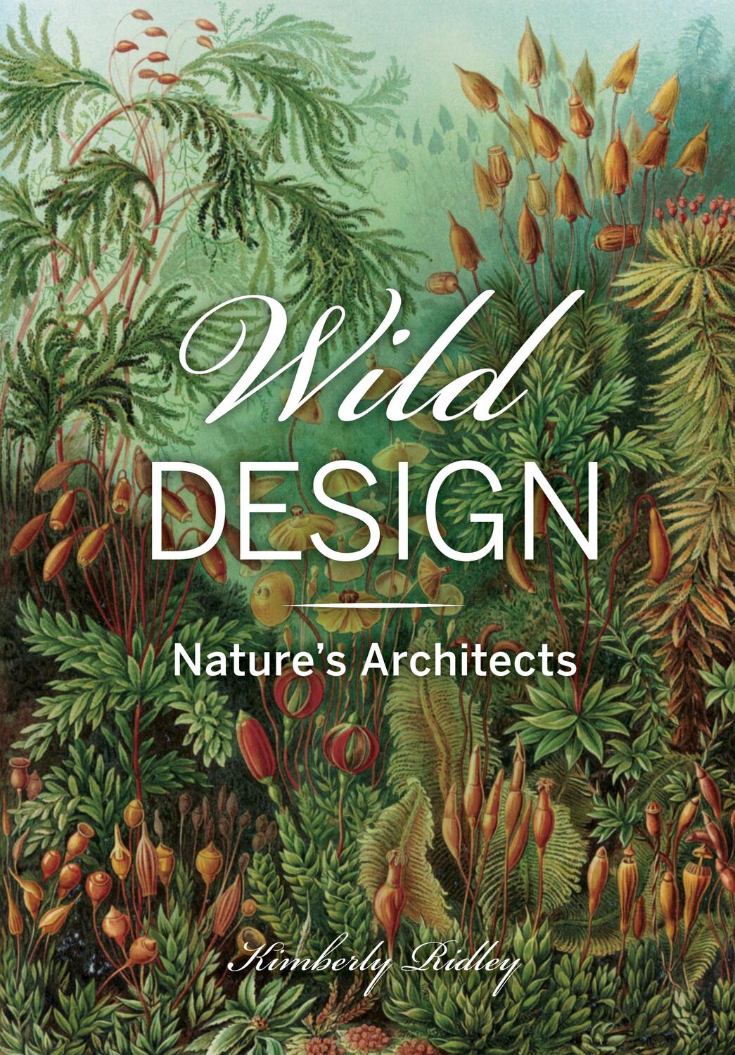 Cover: 9781648960178 | Wild Design: Nature's Architects | Kimberly Ridley | Buch | Gebunden