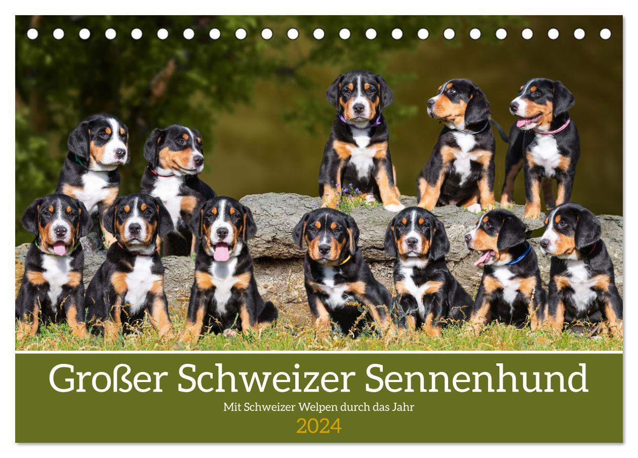 Cover: 9783675778801 | Großer Schweizer Sennenhund - Mit Schweizer Welpen durch das Jahr...