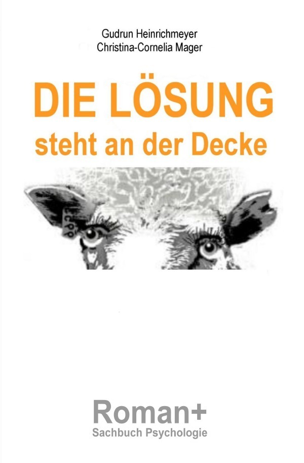 Cover: 9783745004533 | Die Lösung steht an der Decke | Gudrun Heinrichmeyer (u. a.) | Buch