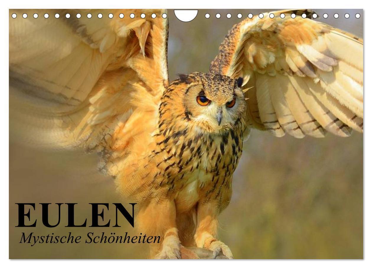 Cover: 9783383532375 | Eulen. Mystische Schönheiten (Wandkalender 2024 DIN A4 quer),...