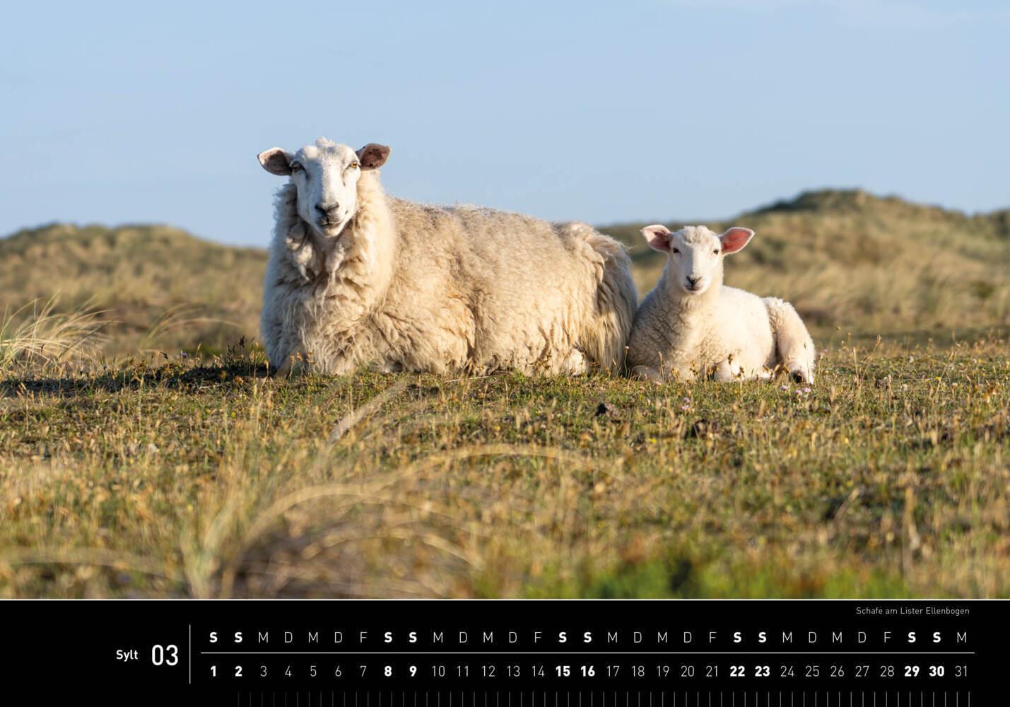 Bild: 9783968555331 | 360° Sylt Premiumkalender 2025 | Jan Becke | Kalender | Spiralbindung