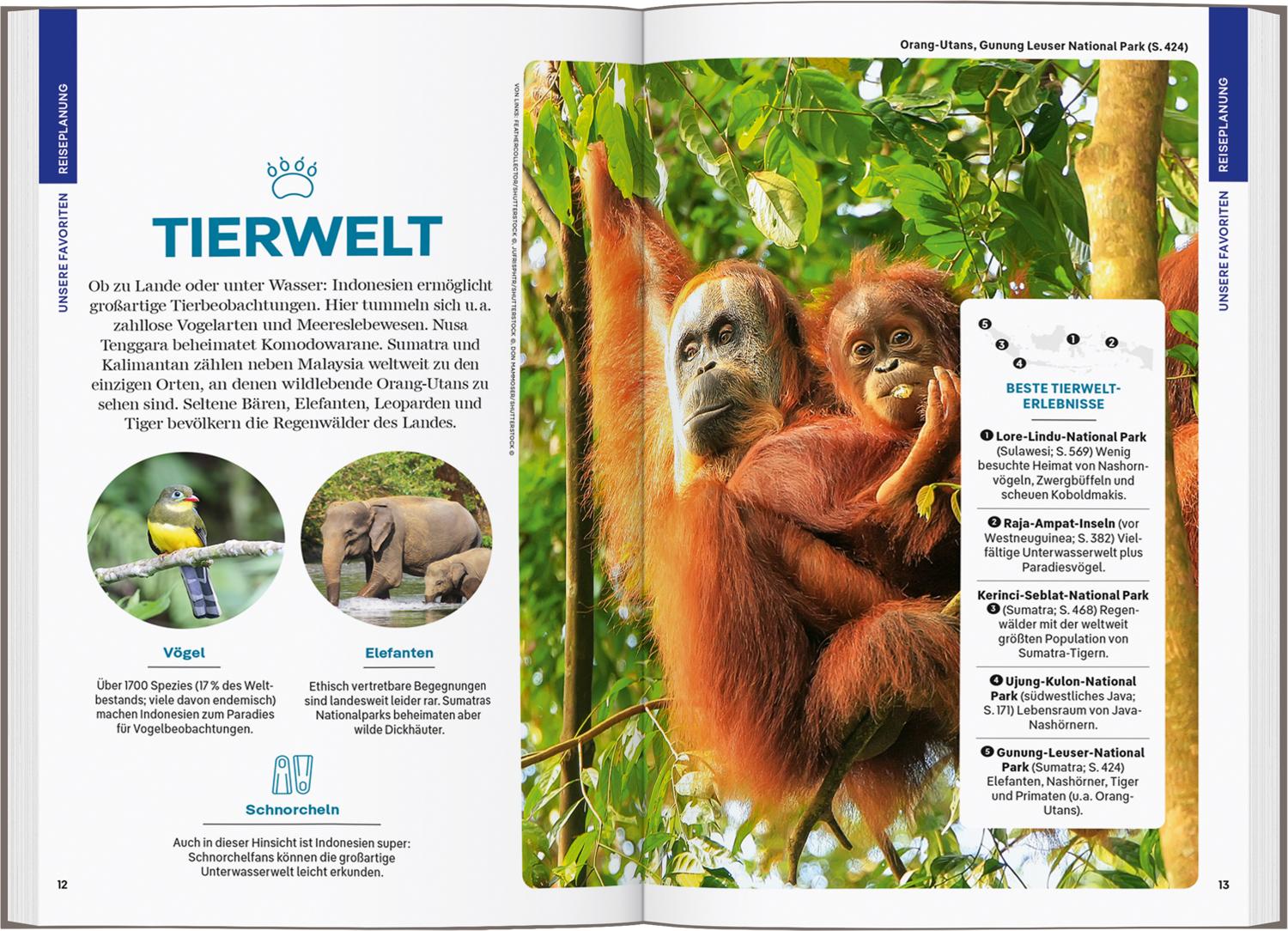 Bild: 9783575011626 | LONELY PLANET Reiseführer Indonesien | David Eimer (u. a.) | Buch