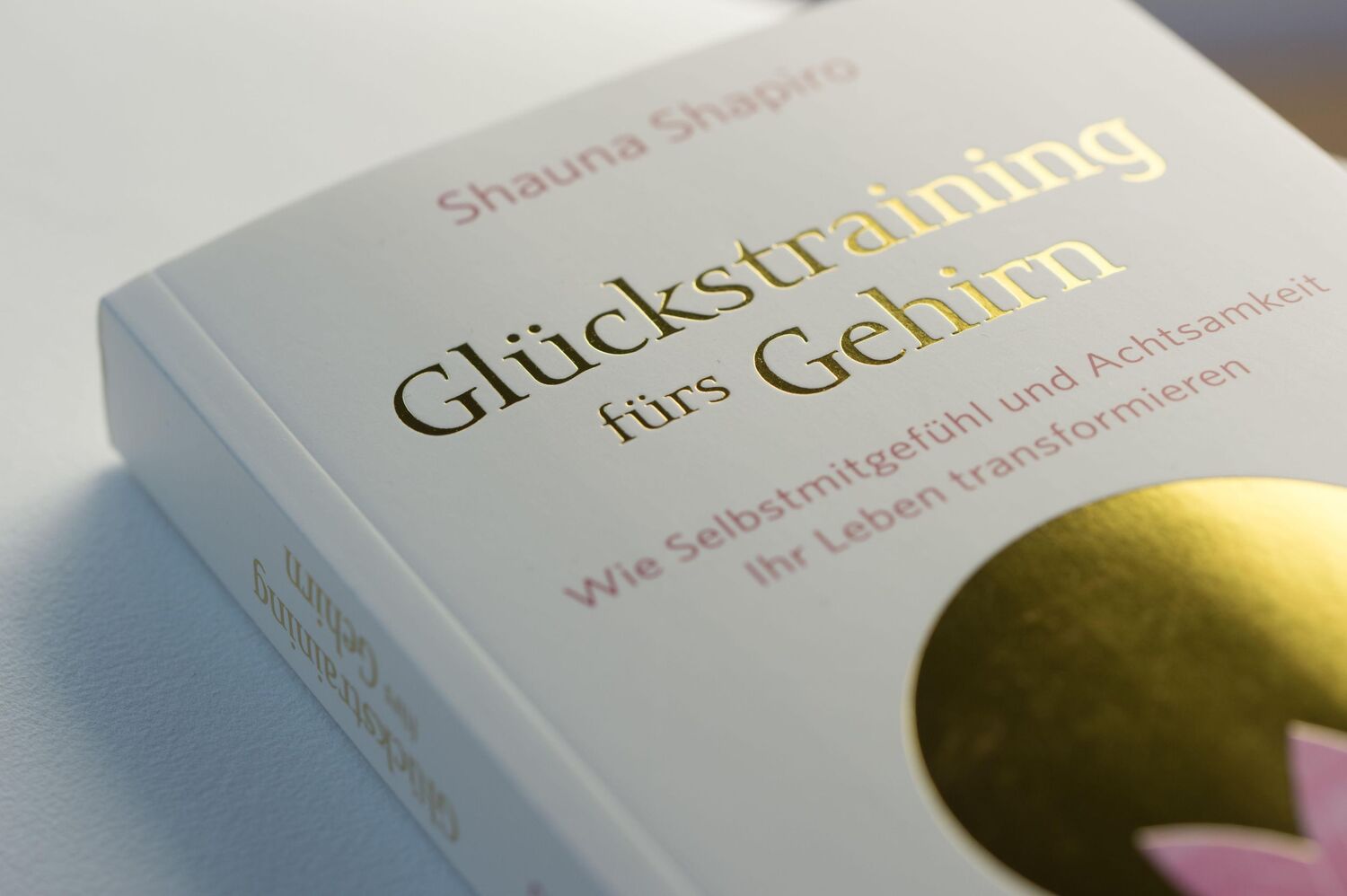 Bild: 9783424153644 | Glückstraining fürs Gehirn | Shauna Shapiro | Taschenbuch | 288 S.