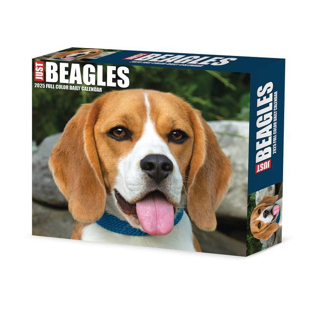 Cover: 9781549240652 | Beagles 2025 6.2 X 5.4 Box Calendar | Willow Creek Press | Kalender