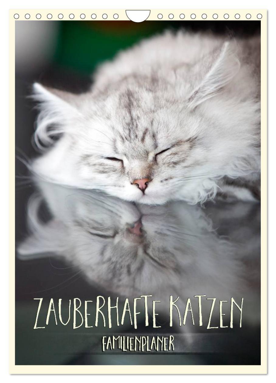 Cover: 9783383581410 | Zauberhafte Katzen - Familienplaner (Wandkalender 2024 DIN A4...