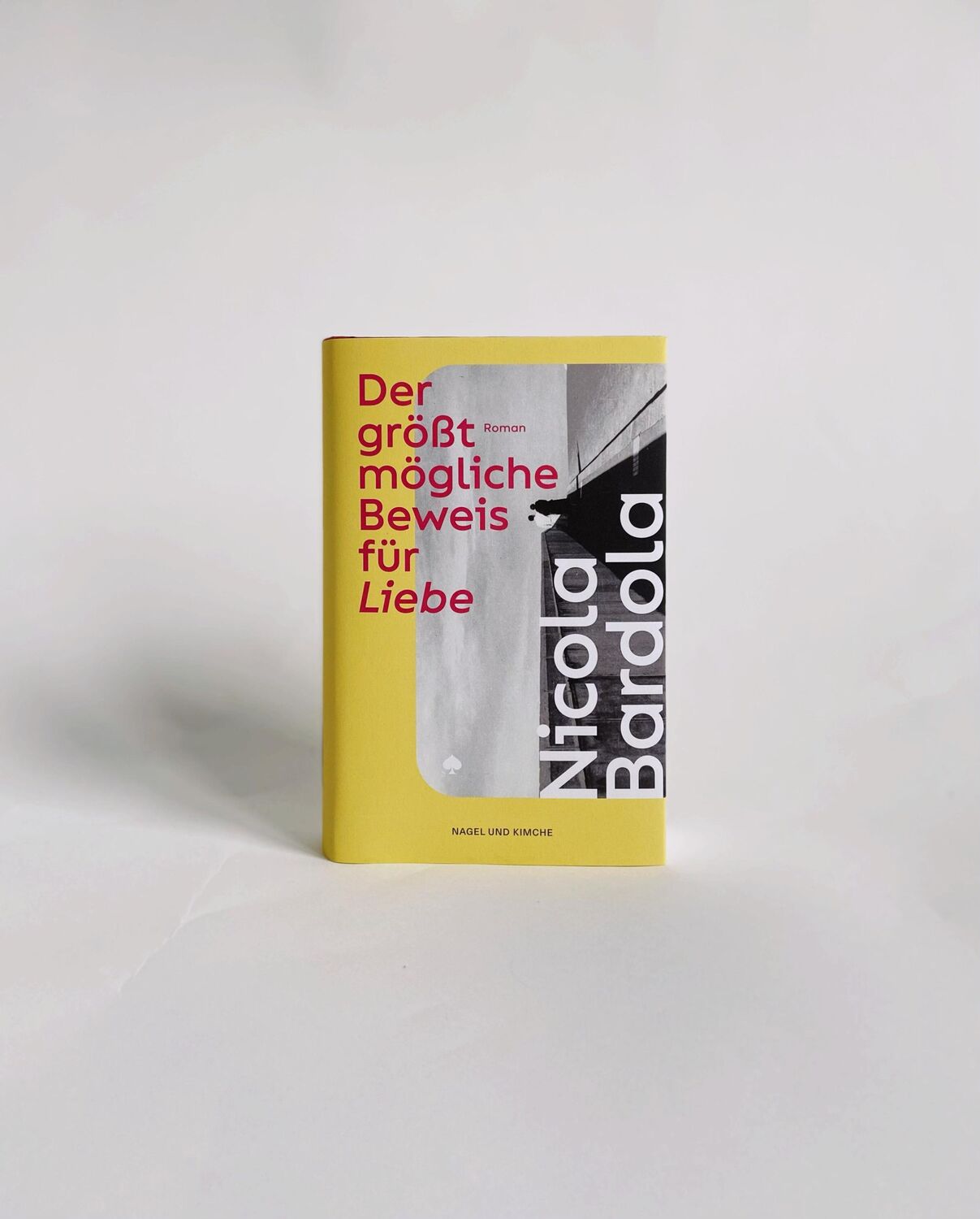 Bild: 9783312013357 | Der größtmögliche Beweis für Liebe | Nicola Bardola | Buch | 448 S.