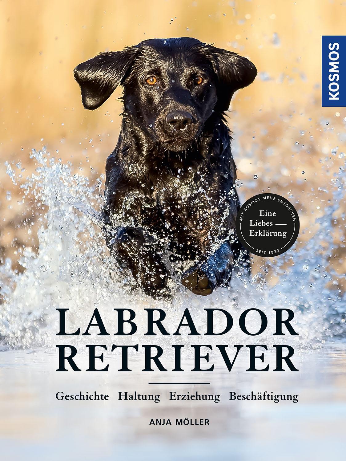 Cover: 9783440159989 | Labrador Retriever | Geschichte, Haltung, Erziehung, Beschäftigung