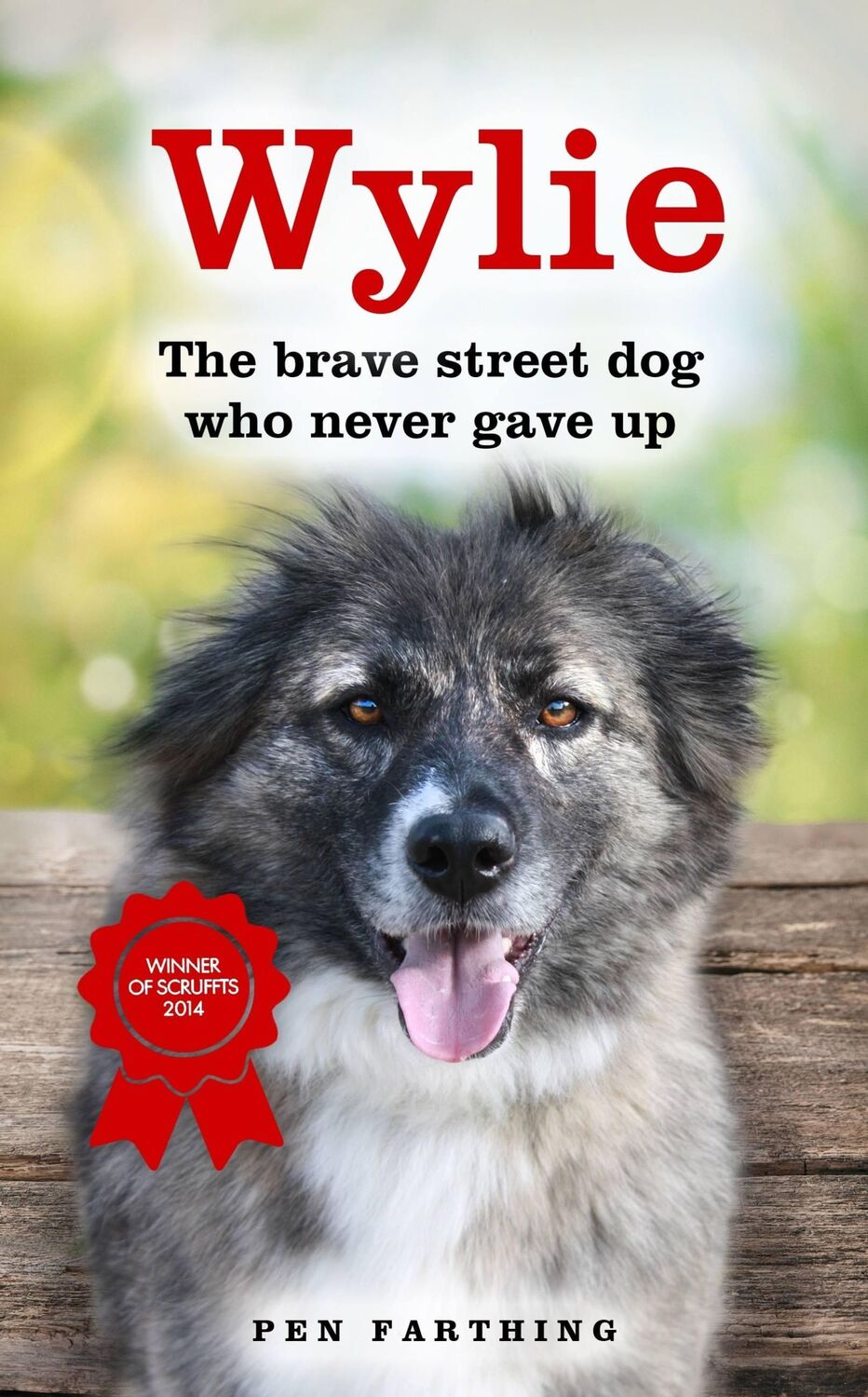 Cover: 9781444799606 | Wylie | The Brave Street Dog Who Never Gave Up | Pen Farthing | Buch