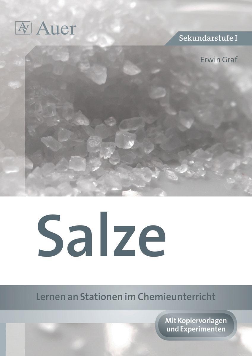 Cover: 9783403068358 | Salze - Lernen an Stationen im Chemieunterricht | Sekundarstufe I