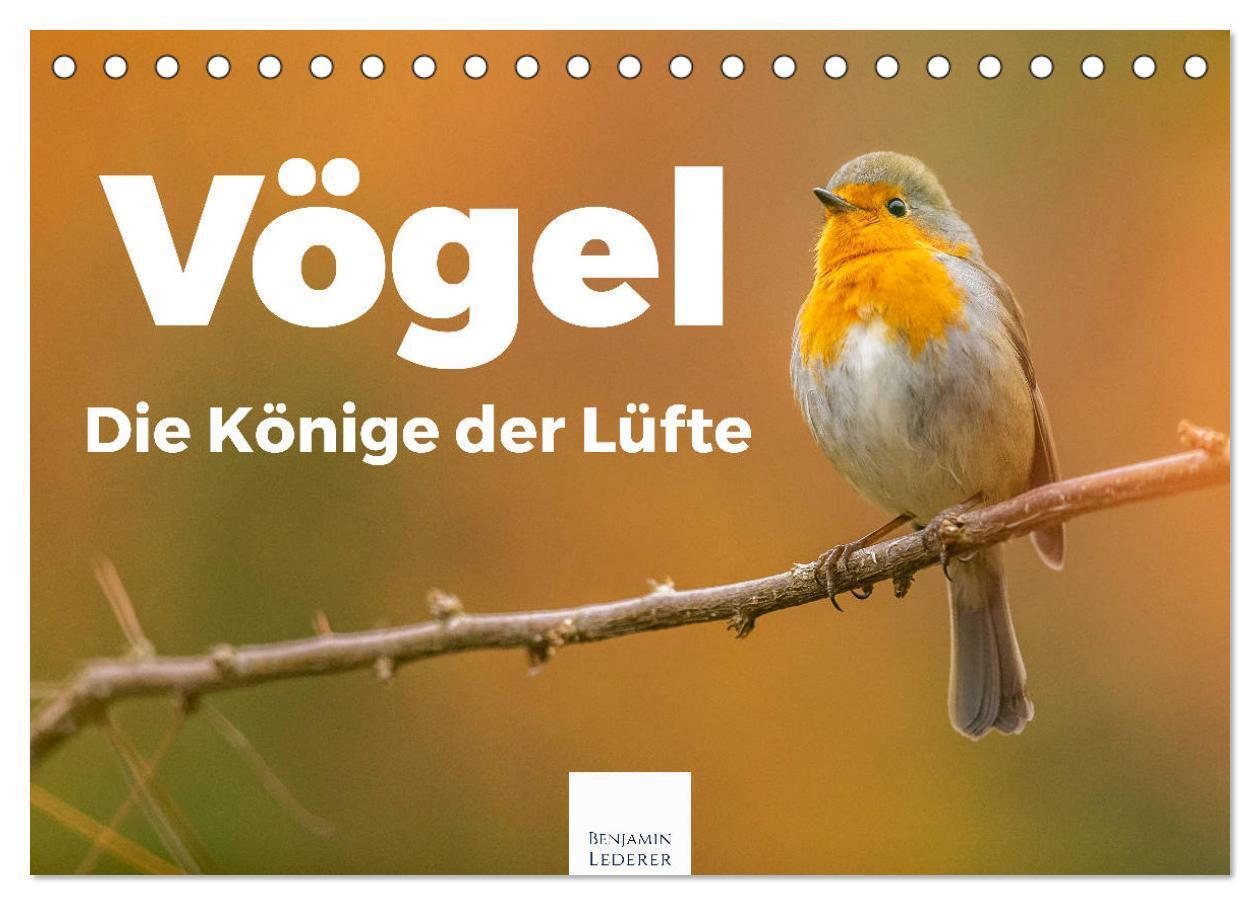 Cover: 9783675954656 | Vögel - Die Könige der Lüfte (Tischkalender 2024 DIN A5 quer),...