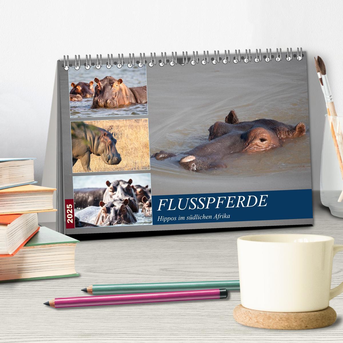 Bild: 9783435298242 | Hippos im südlichen Afrika (Tischkalender 2025 DIN A5 quer),...