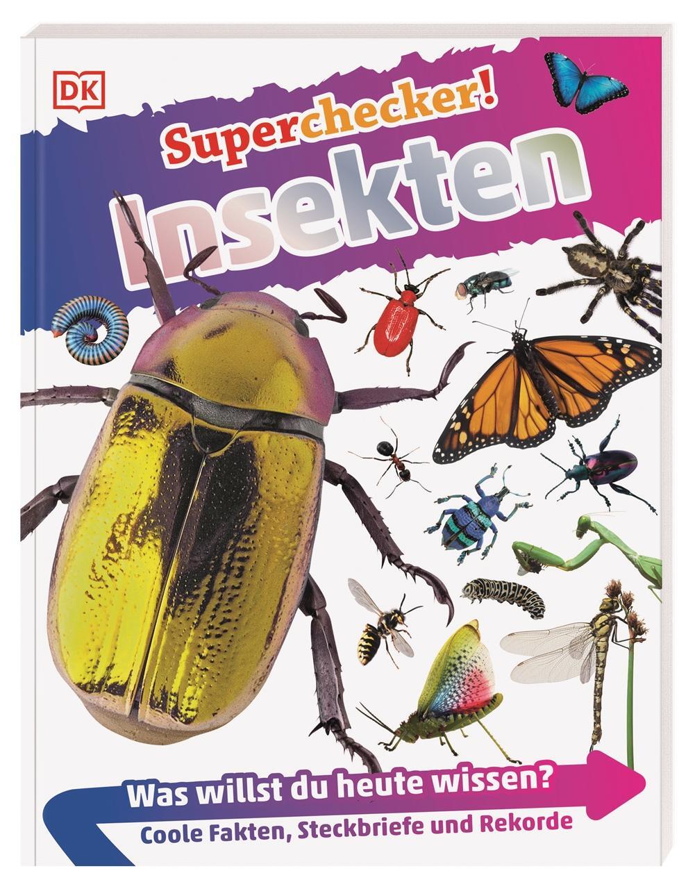 Cover: 9783831043743 | Superchecker! Insekten | Andrea Mills | Taschenbuch | Superchecker!