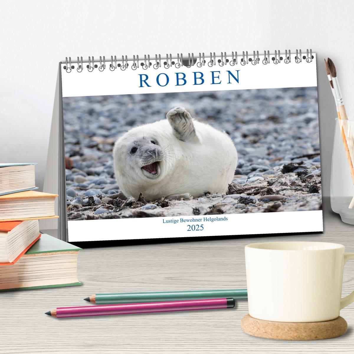 Bild: 9783435331857 | Robben - Lustige Bewohner Helgolands (Tischkalender 2025 DIN A5...