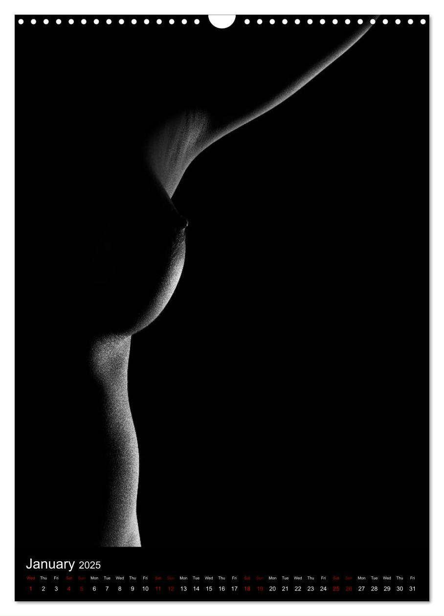 Bild: 9781325972951 | erotic shadows 2025 (Wall Calendar 2025 DIN A3 portrait), CALVENDO...