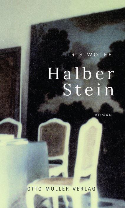 Cover: 9783701313198 | Halber Stein | Iris Wolff | Buch | 294 S. | Deutsch | 2024