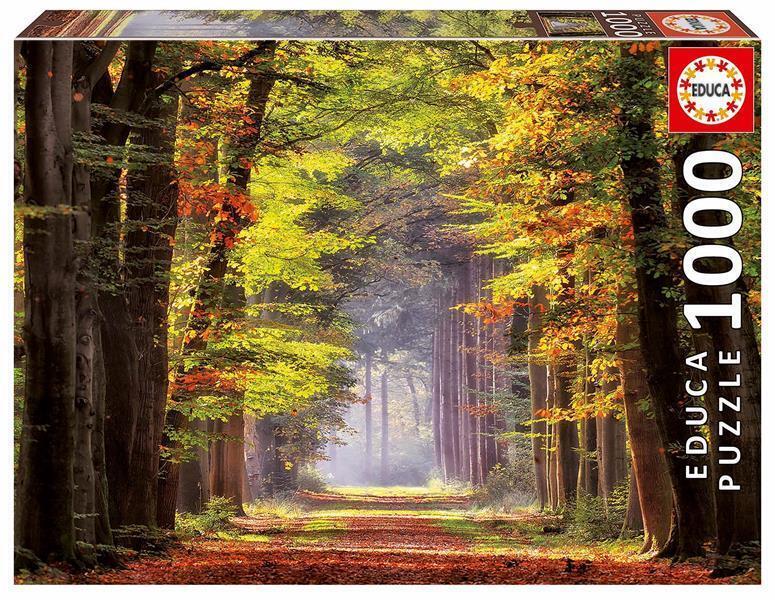 Cover: 8412668190214 | Herbstweg durch Wald (Puzzle) | Spiel | 2021 | Educa