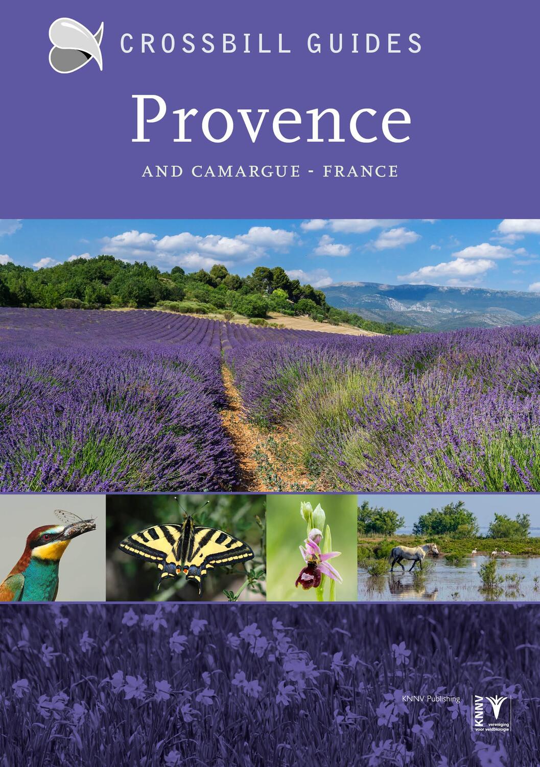 Cover: 9789491648168 | Provence | And Camargue, France | Albert Vliegenthart (u. a.) | Buch