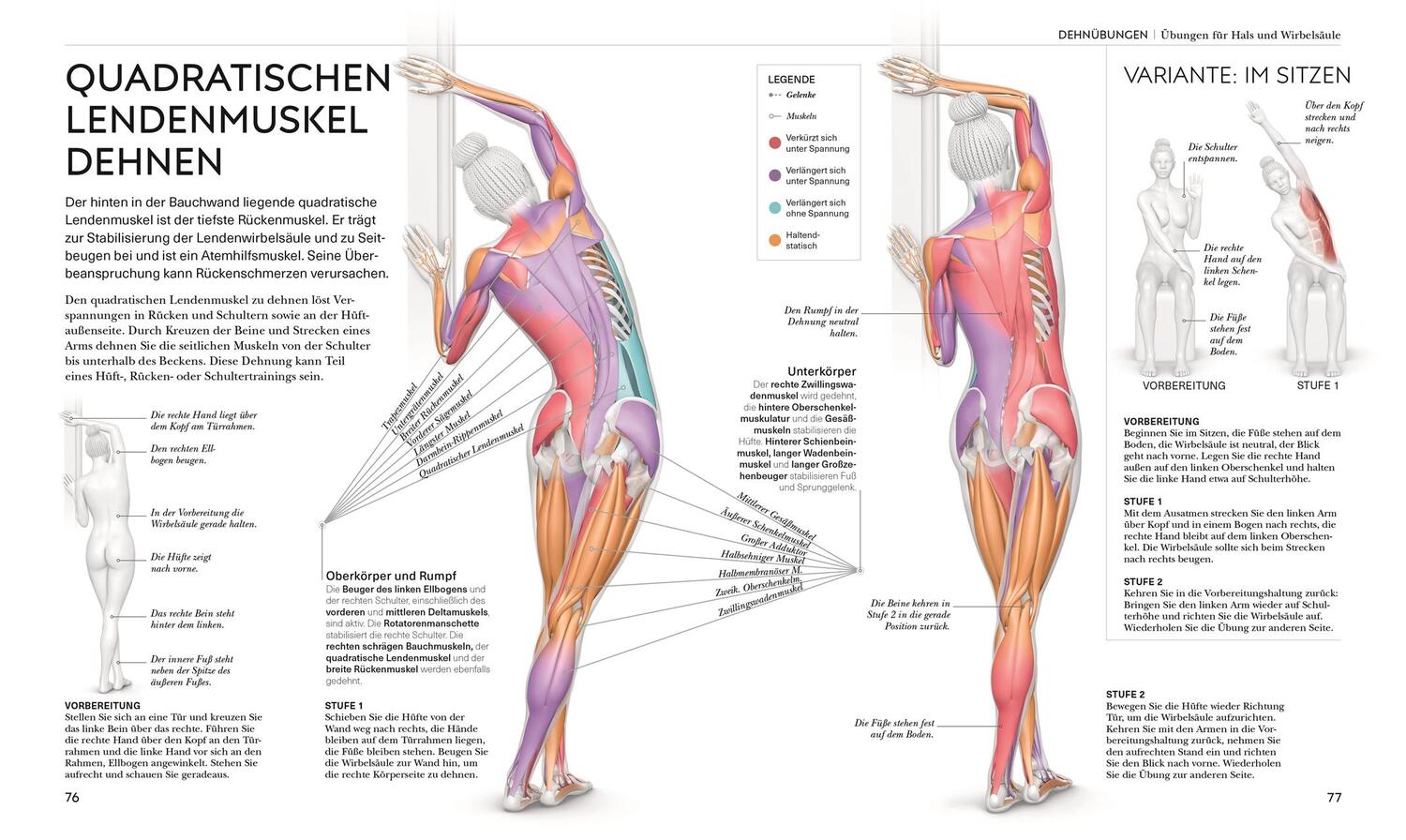 Bild: 9783831048366 | Stretching - Die Anatomie verstehen | Leada Malek | Buch | 224 S.