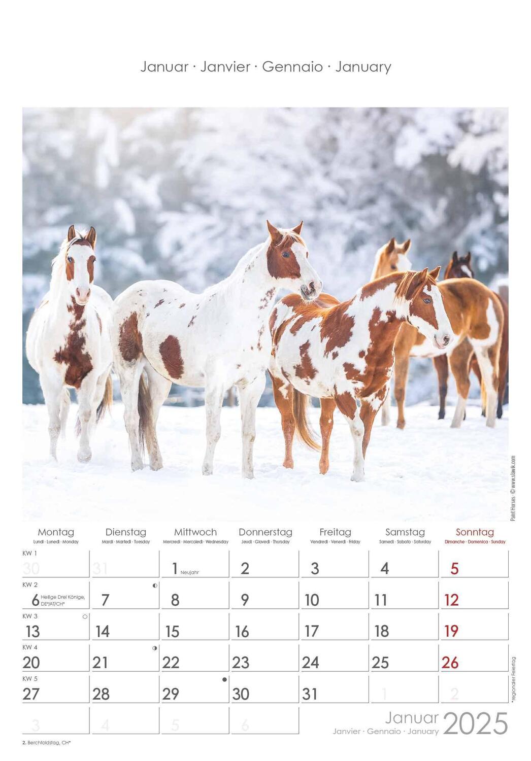 Bild: 4251732341022 | Pferde 2025 - Bildkalender 23,7x34 cm - Kalender mit Platz für...