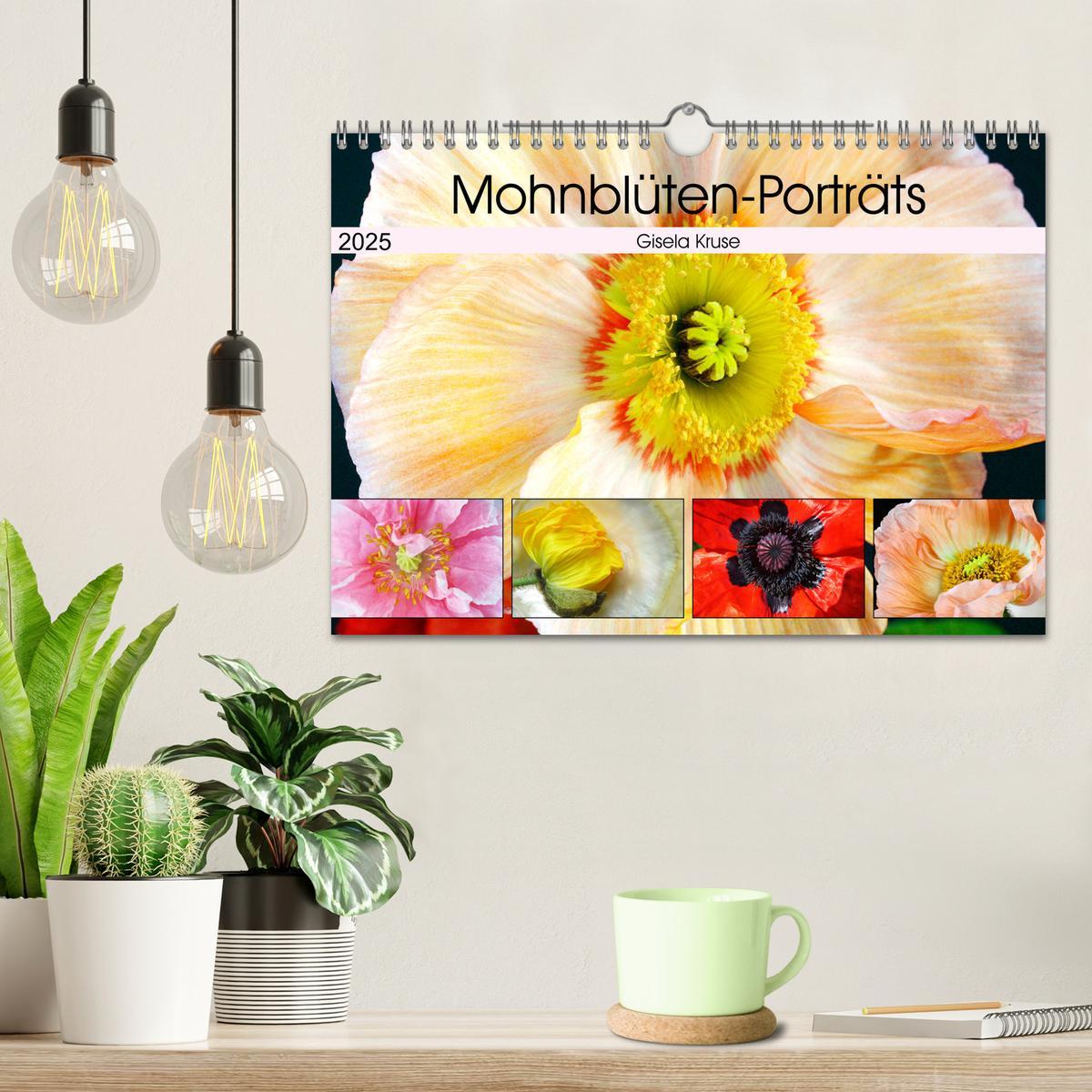 Bild: 9783435209644 | Mohnblüten-Porträts (Wandkalender 2025 DIN A4 quer), CALVENDO...