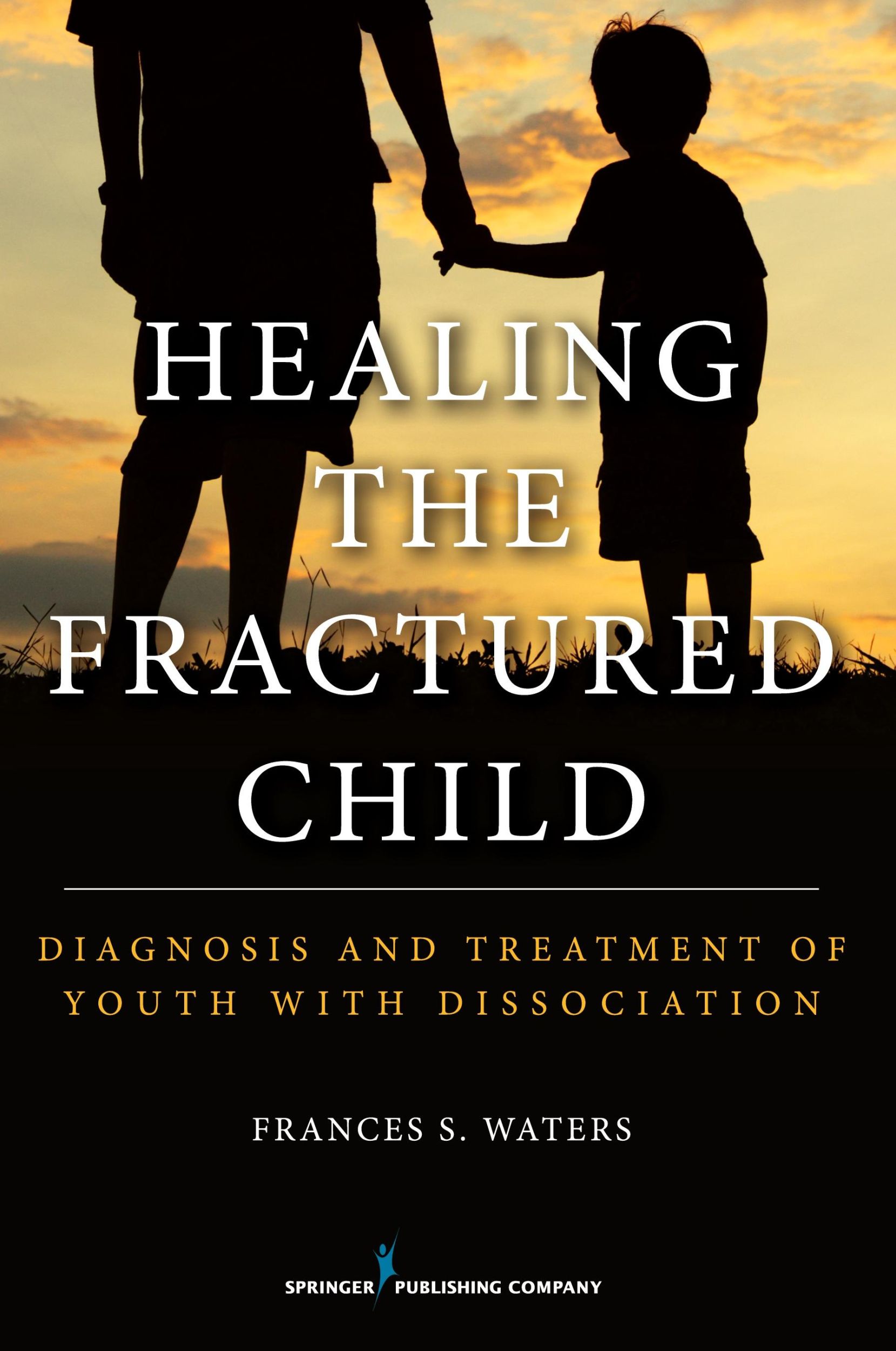 Cover: 9780826199638 | Healing the Fractured Child | Frances S. DCSW LMSW LMFT Waters | Buch