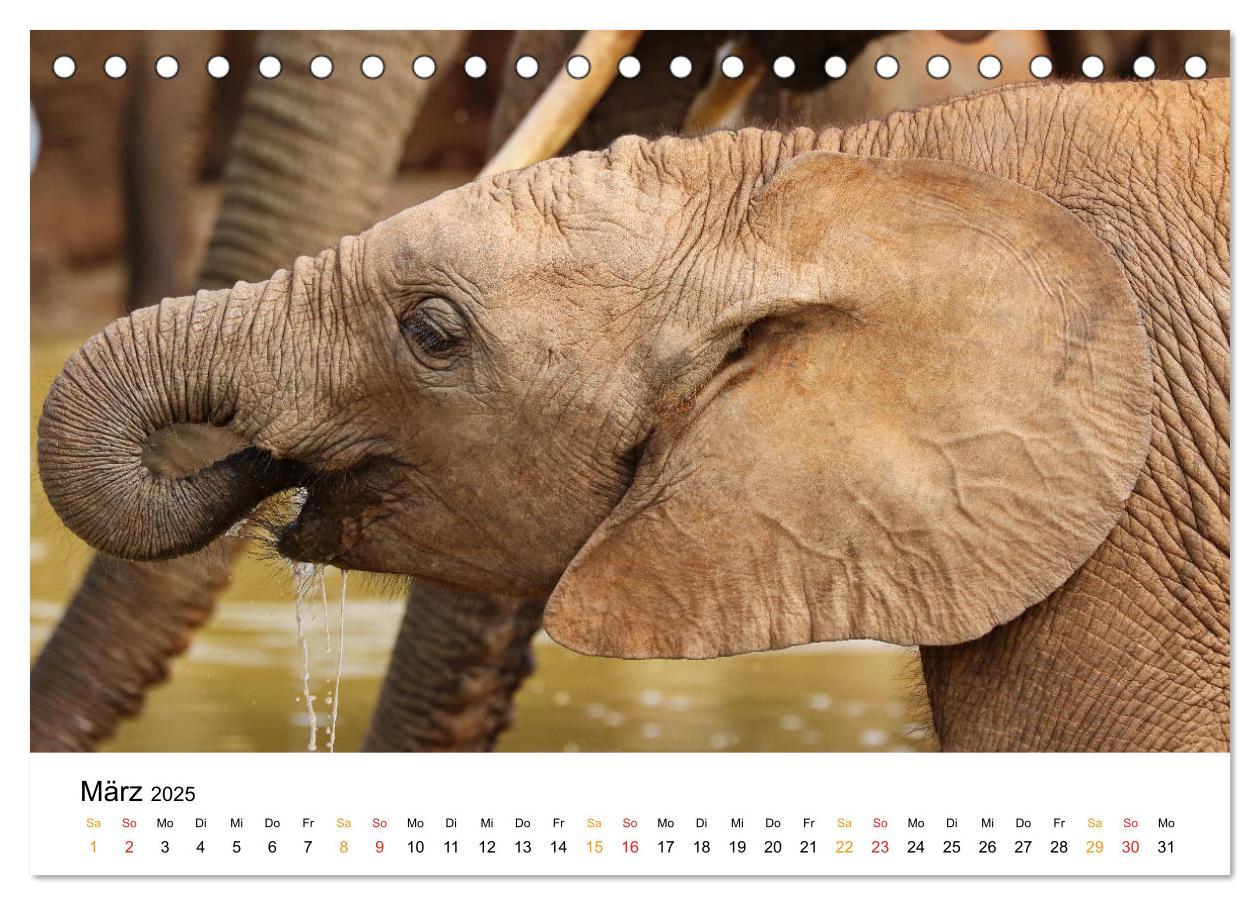 Bild: 9783435227921 | ADDO ELEPHANT NATIONAL PARK Elefanten Babies (Tischkalender 2025...