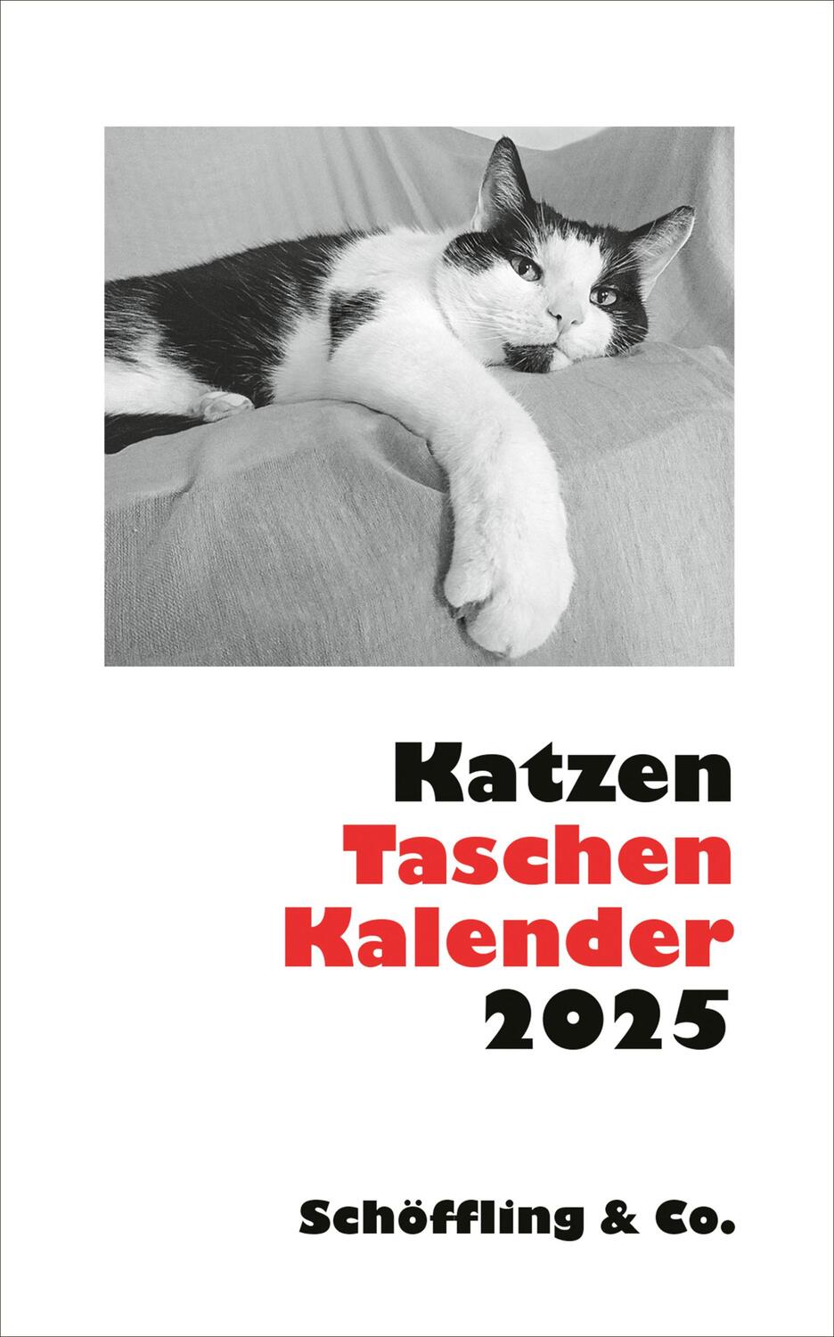 Cover: 9783895617843 | Katzen Taschenkalender 2025 | Julia Bachstein | Kalender | CXLIV