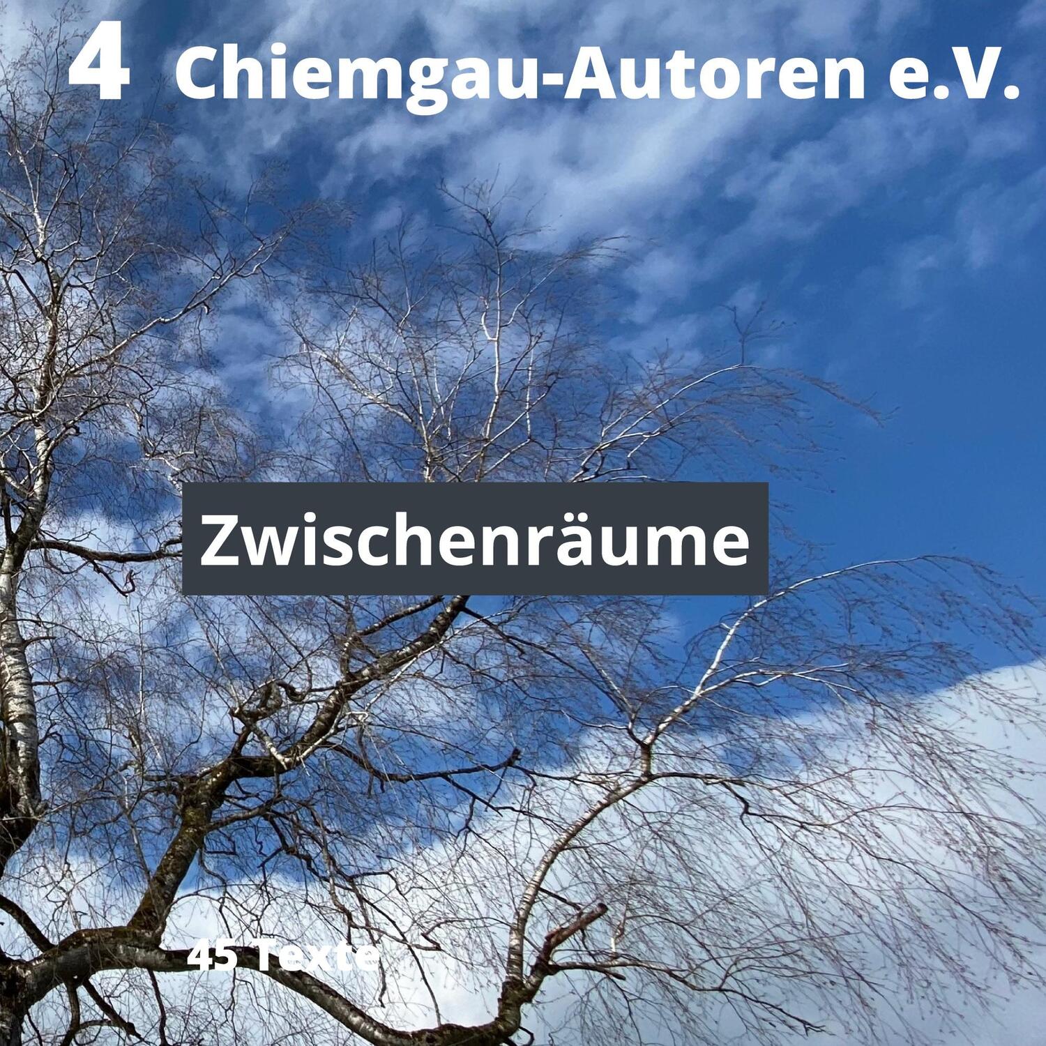 Cover: 9783753496566 | Zwischenräume | Chiemgau-Autoren e.V. Traunstein | Taschenbuch