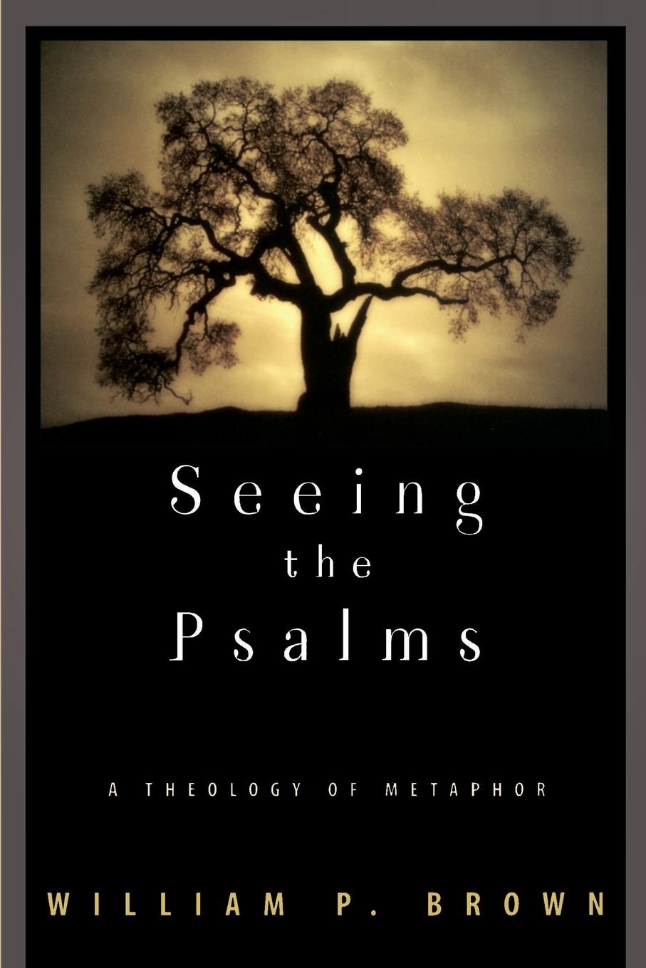 Cover: 9780664225025 | Seeing the Psalms | Brown | Taschenbuch | Kartoniert / Broschiert