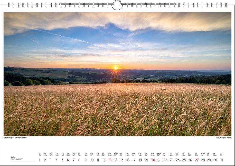 Bild: 9783861924043 | Bodensee Wasser.Berge.Licht. 2025 | Stefan Arendt | Kalender | 13 S.