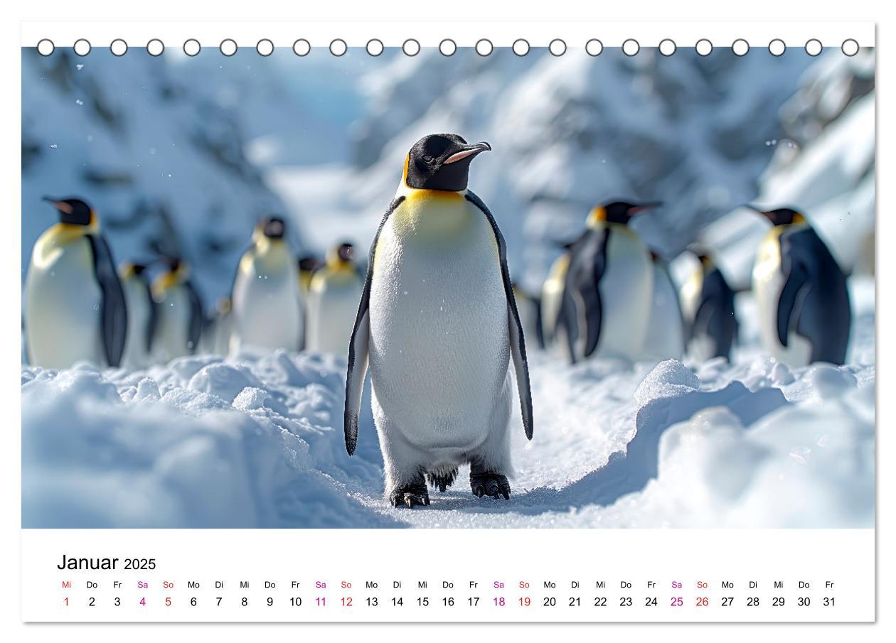 Bild: 9783457164471 | Maritim pur - Pinguine (Tischkalender 2025 DIN A5 quer), CALVENDO...