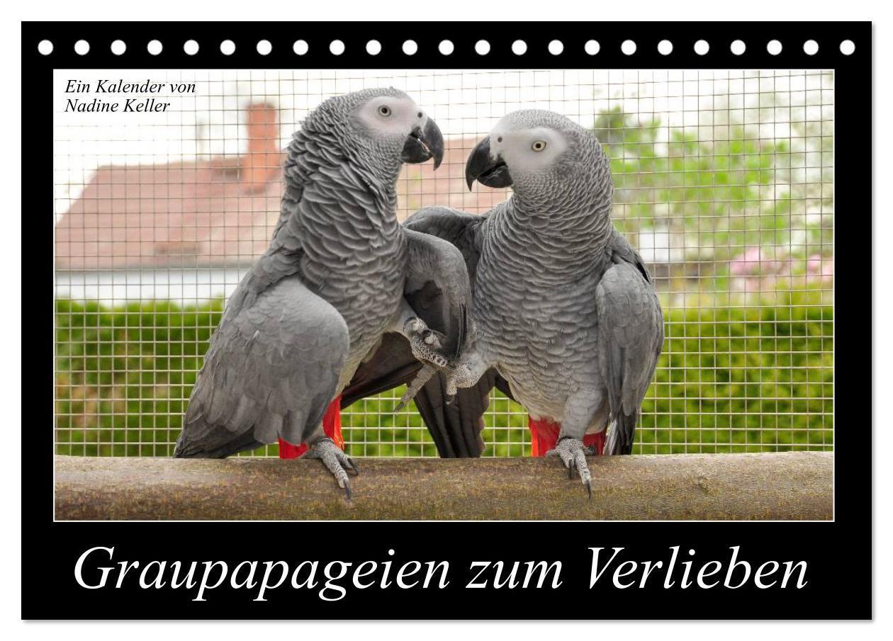 Cover: 9783435623754 | Graupapageien zum Verlieben (Tischkalender 2025 DIN A5 quer),...