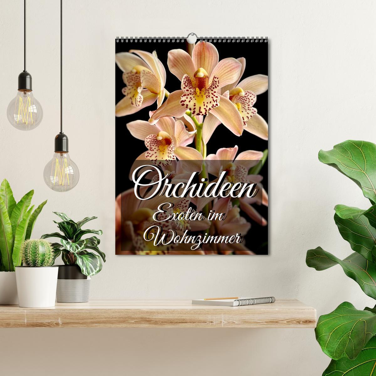 Bild: 9783435881321 | Orchideen - Exoten im Wohnzimmer (Wandkalender 2025 DIN A3 hoch),...