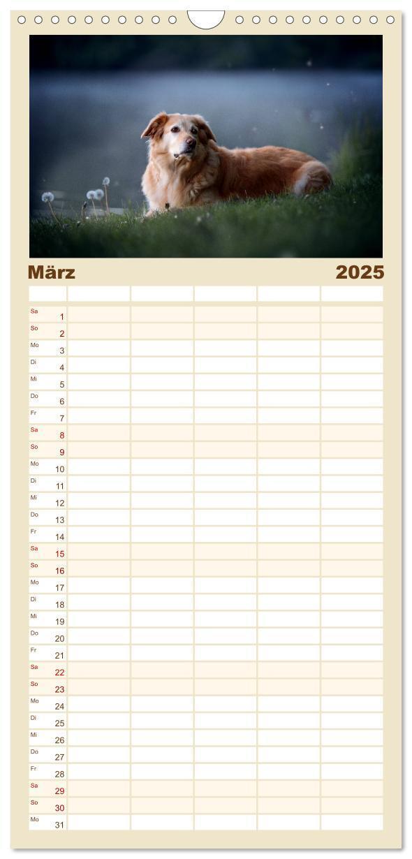 Bild: 9783457117330 | Familienplaner 2025 - Hundeseele mit 5 Spalten (Wandkalender, 21 x...