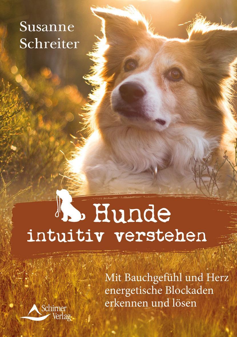 Cover: 9783843414500 | Hunde intuitiv verstehen | Susanne Schreiter | Taschenbuch | Deutsch